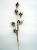 artificial plant