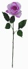 Wholesale 28"PURPLE WEDDING FLOWER KAREN ROSE X 1 FLW