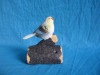 Wholesale Bird Standing on Tree Branch