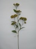 Wholesale artificial plant