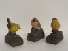 Wholesale Bird Standing on Tree Branch