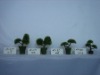 Wholesale miniascape