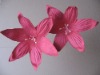 Wholesale paper flower(HY-0130)