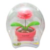 Wholesale flower solar