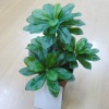 Wholesale artificial plant