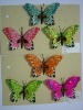 Wholesale feather butterfly