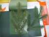 Wholesale PVC Plastic film for making artificial Christmas tree