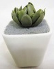 Artificial plant Bonsai