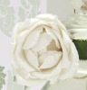 Wholesale paper flower(HY-1320)