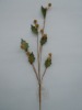 Wholesale artificial plant