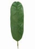 Wholesale Artificial Leaves