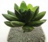 Wholesale Artificial plant Bonsai
