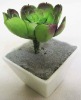 Artificial plant Bonsai
