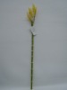 artificial plant, decorative plant,crafts plant