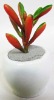 Wholesale Artificial plant Bonsai