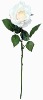 Wholesale 28"GIFT FLOWER BAILEY ROSE X 1 FLW