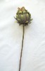 Wholesale artificial herb plant-thistle