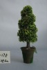 Wholesale artificial trees