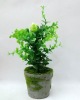 Wholesale artificial plant,artificial potted plant,artificial desert plant