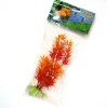 Wholesale Aquarium plant