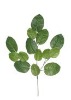 Wholesale Artificial Leaves