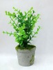 Wholesale artificial plant,artificial potted plant,artificial desert plant
