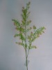 Wholesale decorative plant