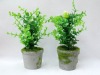 Wholesale artificial plant,artificial potted plant,artificial desert plant