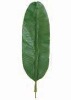 Wholesale Artificial Leaves