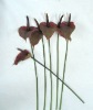 Wholesale artificial single anthurium