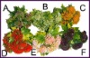 Wholesale Bush Calla Plastic Flower