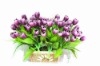 Wholesale Small Tulip Bush