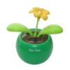 Wholesale flower solar