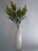 Wholesale decorative plant