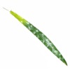 Jumbo orchid leaf