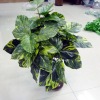 artificial plant