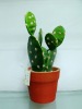 artificial cactus,artificial potted cactus,artificial desert plant