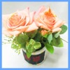 artificial bonsai plants,potted plants