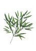 Artificial Leaves