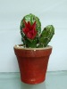 artificial cactus,artificial potted cactus,artificial desert plant