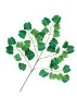 Artificial Leaves