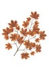 Artificial Leaves