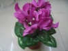 artificial plant