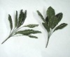 artificial greenery bush- croton leaf