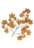 Artificial Leaves