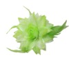 feather flower TGF21C8014