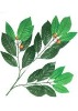 Wholesale Artificial Leaves