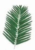 Wholesale Artificial Leaves