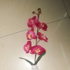 Wholesale artificial plant