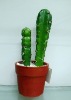 Wholesale artificial cactus,artificial potted cactus,artificial desert plant